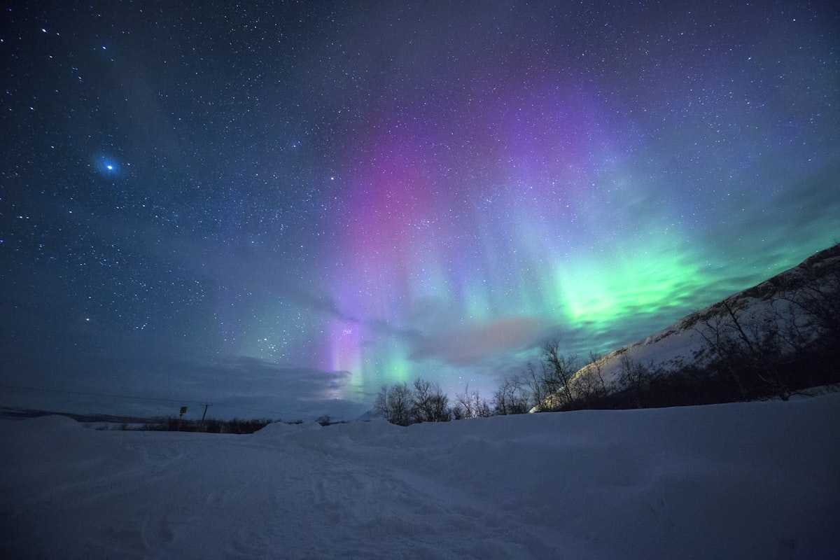 Vivid green and purple northern lights over an Icelandic landscape at night, reflected in still water below