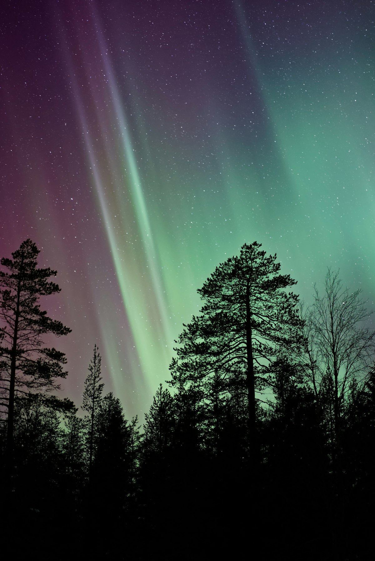 Vivid green aurora borealis lighting up the night sky over a dark Icelandic winter landscape