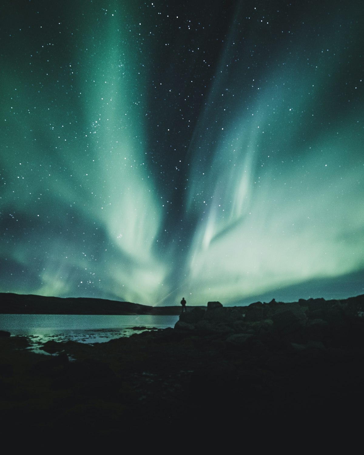 The aurora spreading in wing-shaped curtains over a dark fjord in the Westfjords of Iceland, with a photographer silhouetted against the water.
