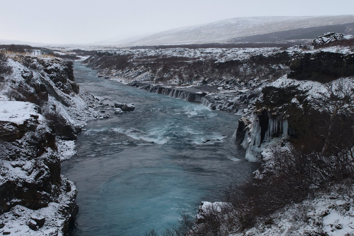 La rivière de Hraunfossar en hiver, coulant gris-bleu entre des berges de lave enneigées et garnies de stalactites de glace