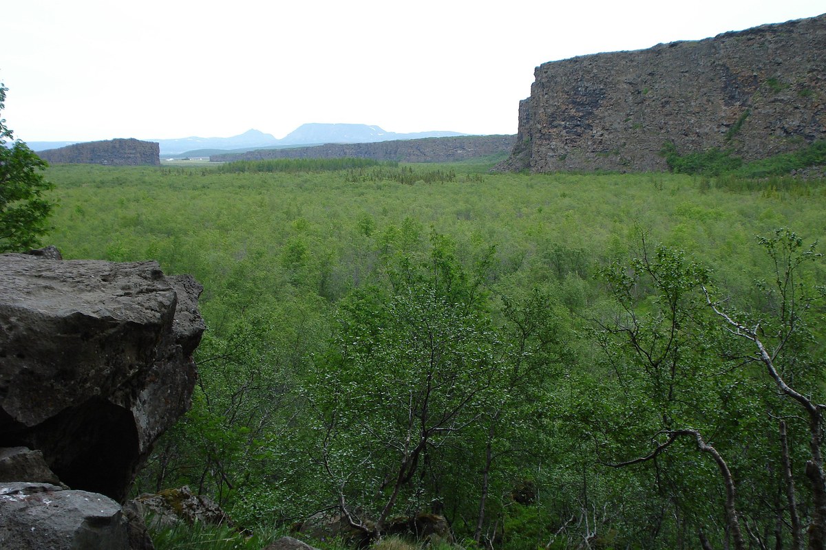 Ásbyrgi Canyon — aurora viewing location in Northeast Iceland, Iceland