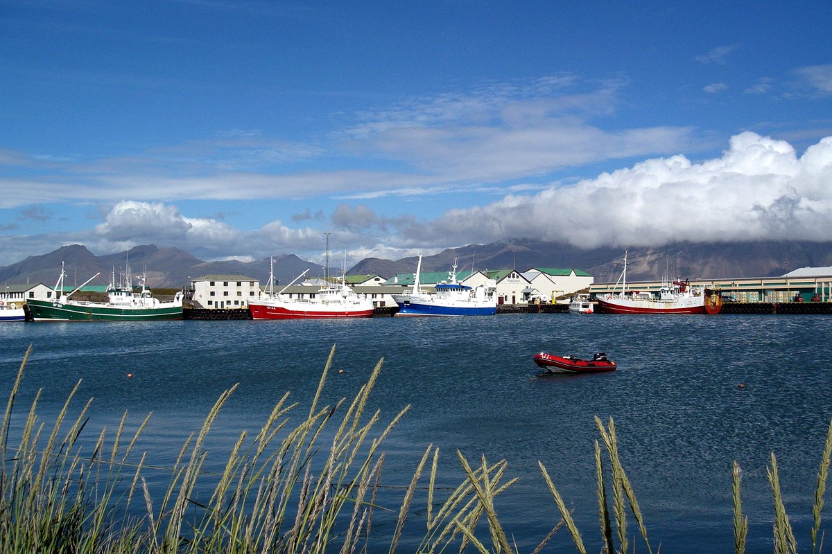Höfn — aurora viewing location in Southeast Iceland, Iceland