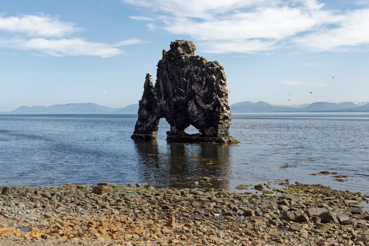 Hvítserkur Sea Stack — aurora viewing location in Northwest Iceland, Iceland