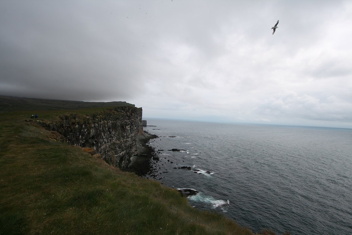 Látrabjarg Cliffs — aurora viewing location in Westfjords, Iceland