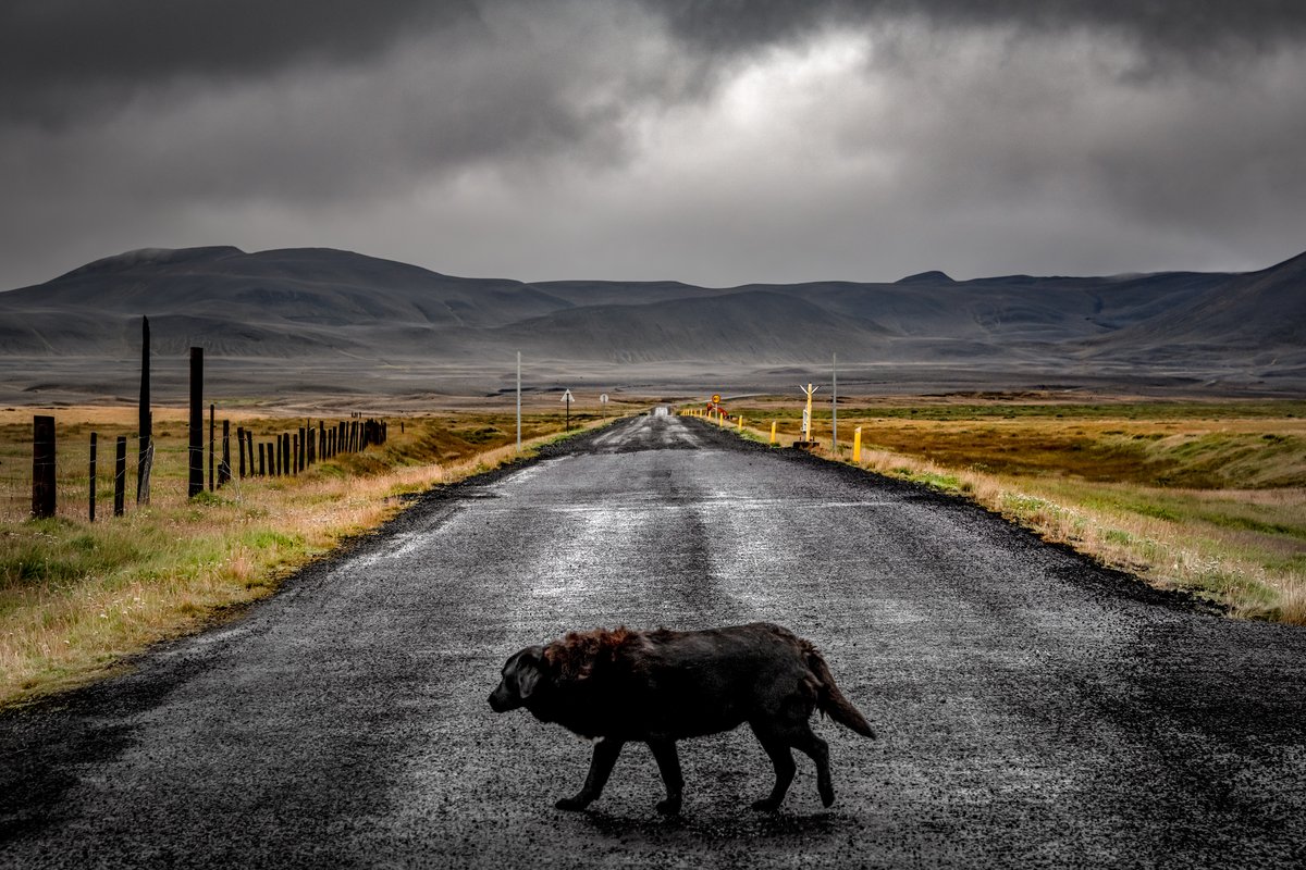 Möðrudalur Farm — aurora viewing location in Northeast Iceland, Iceland