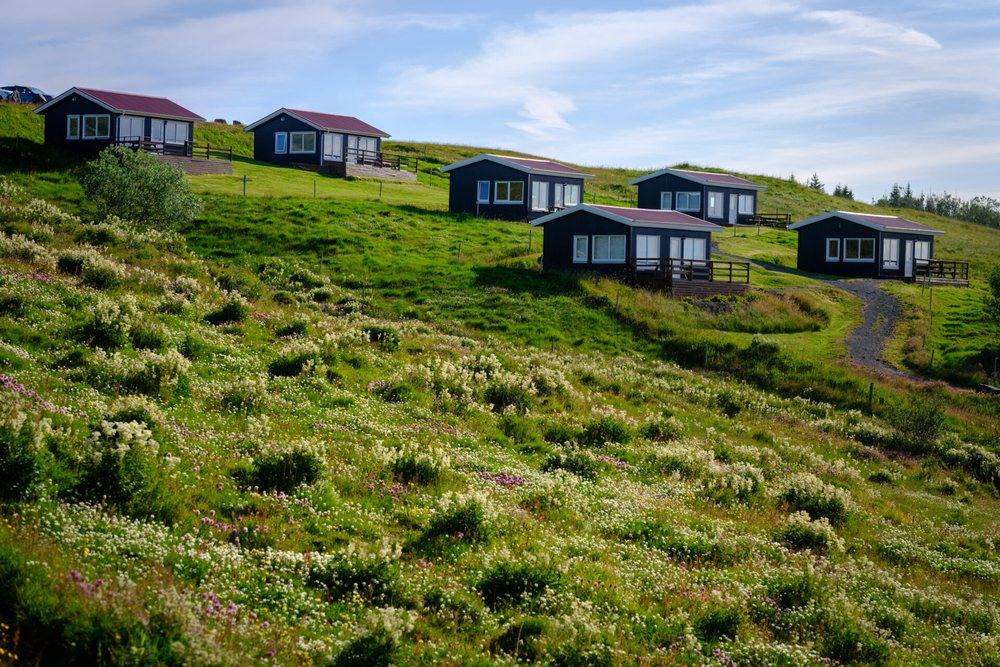A row of dark cottages with red roofs spread along a green, flower-covered slope at Hestheimar