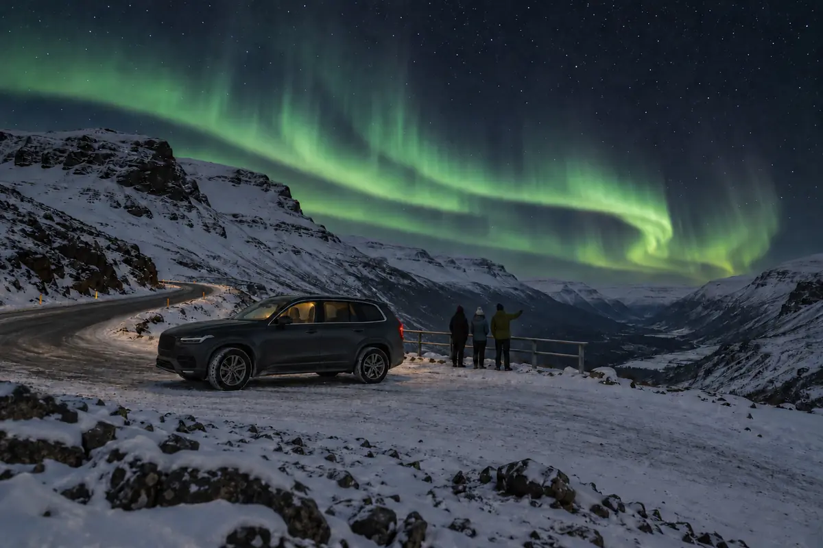 Private Tour northern lights tour in Reykjavík, Iceland