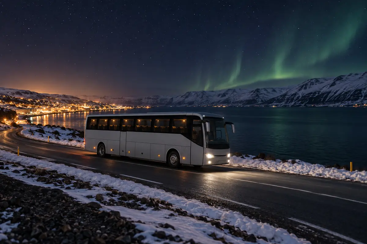 Bus Tour northern lights tour in Akureyri, Iceland
